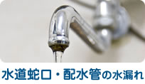 水道蛇口・配水管の水漏れ